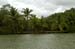 mangrove_0204