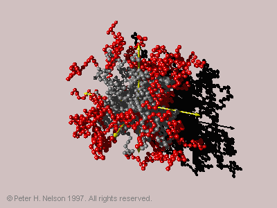 Fig. 3 Expanded conformation of 42-arm star.