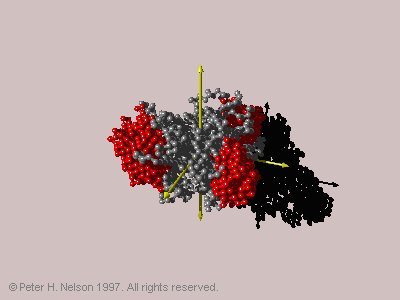 Fig. 4 Self-assembled conformation of 42-arm star.