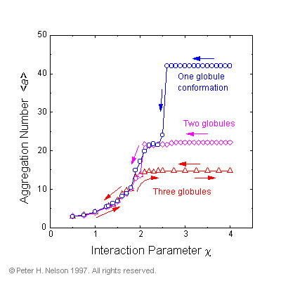 Fig. 5 Stability of the three-globule conformation.