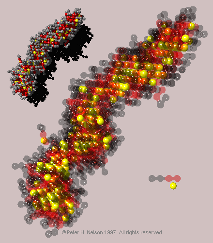 Fig. 11 Translucent micelle containing oil.