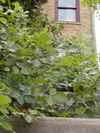 P7160158
