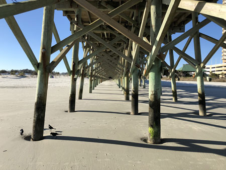 IMG_1345