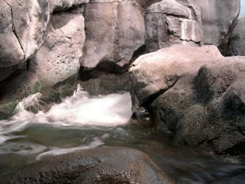DSCN0991