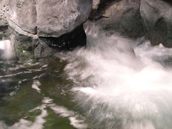 DSCN0994