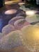 DSCN0996