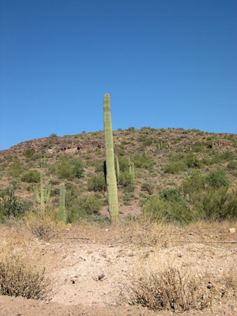 DSCN3075