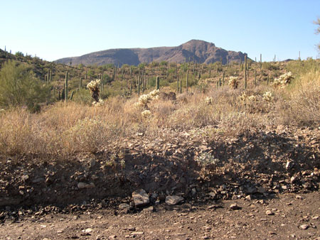 DSCN3081