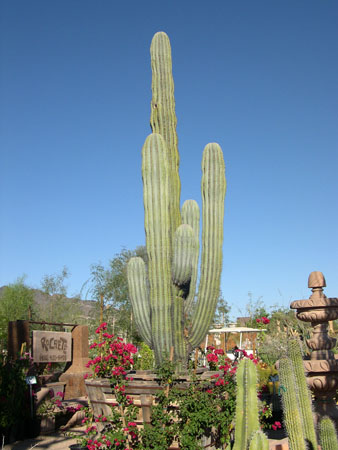 DSCN3104