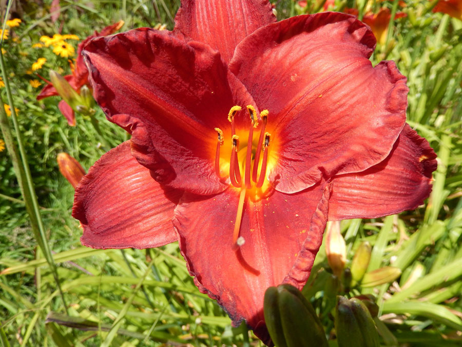 DSCN0834