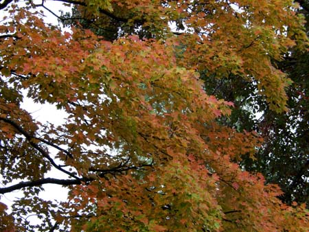 DSCN2282