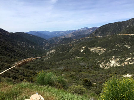 IMG_0120