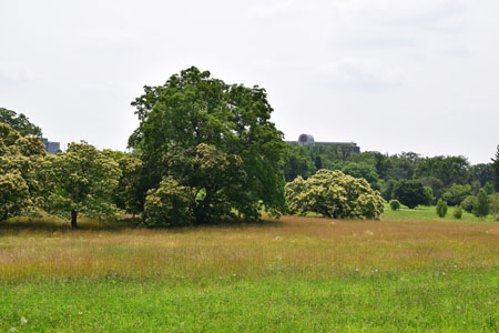 DSC_0041