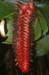 park_0046