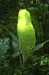 park_0054