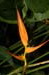 park_0055