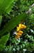 park_0078