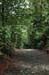 park_0092