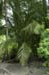 park_0131