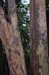 park_0138