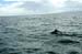 sail_1670