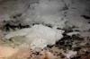 jsc_0391