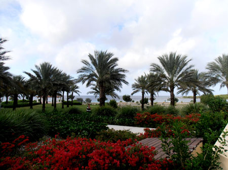 P2080008