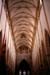 Ulmnave1