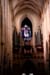 Ulmnave4