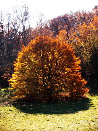 PB050038