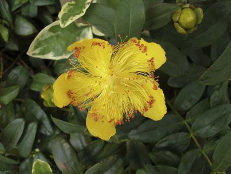 P6250052