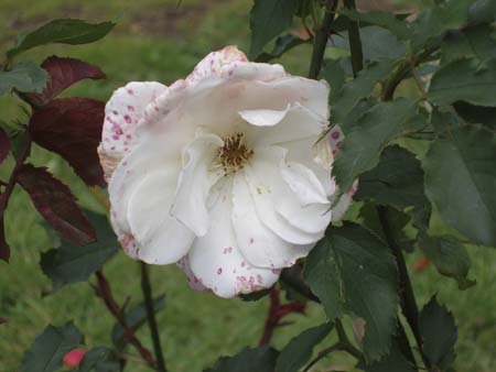 P6250063