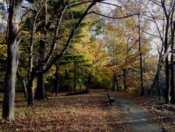 WatertownPath2