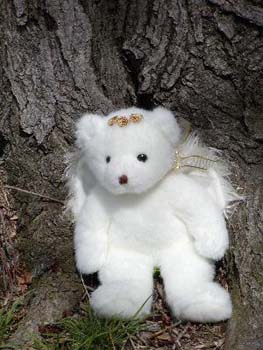 angelbear3