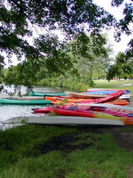 canoes