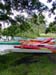canoes
