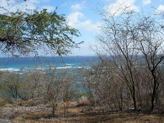 image35