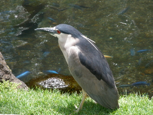 image8