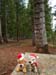DSCN0665