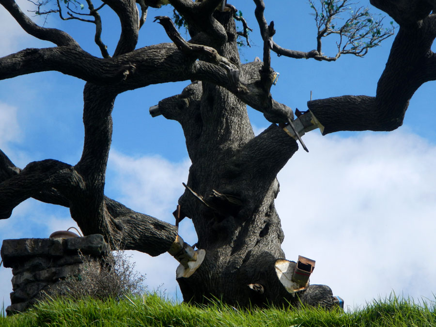 hobbiton105