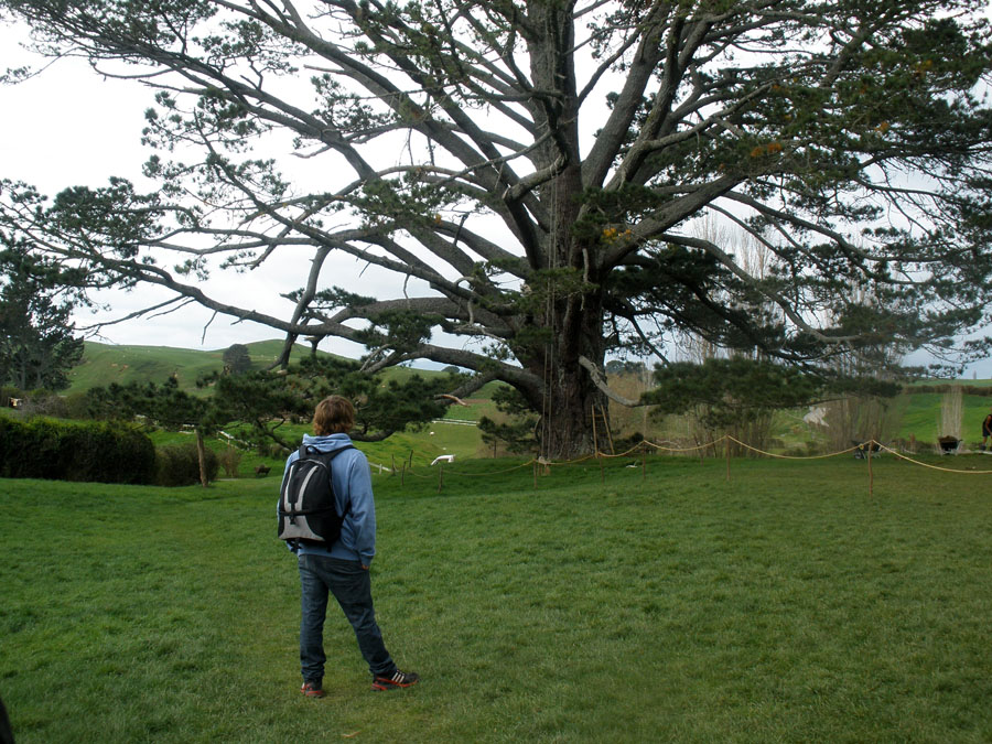 hobbiton120