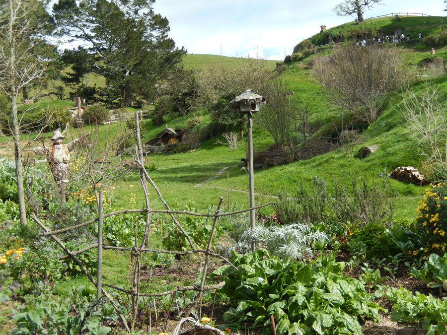 hobbiton15