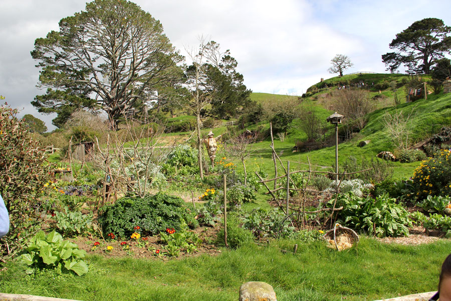 hobbiton57