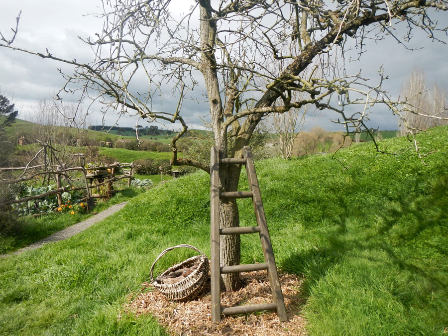 hobbiton81
