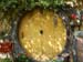 hobbiton11