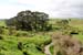 hobbiton111