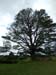 hobbiton119