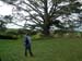 hobbiton120
