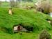 hobbiton127