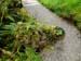 hobbiton131